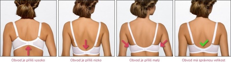 Zadní část obvodu podprsenky musí perfektně sedět. Zdroj: Astratex.cz.