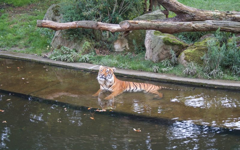 V liberecké zoo se dětem bude líbit.
