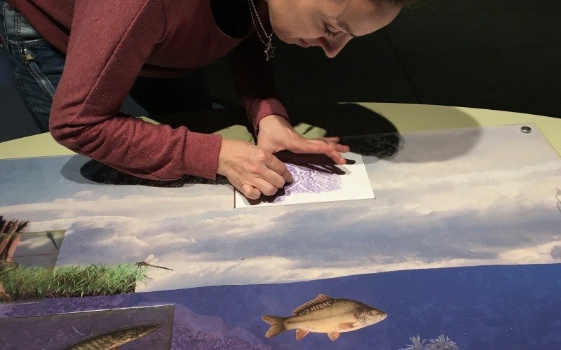 Frotáž rybích šupin – kreativní aktivita v Zemědělském muzeu. Zdroj: eMimino