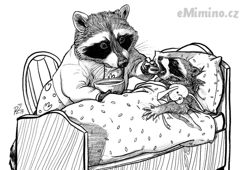 O projektové krizi
