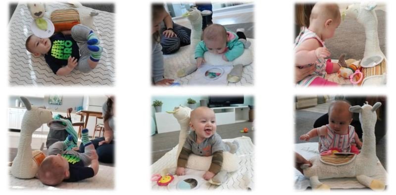 Lama děti baví a ještě rozvíjí jejich smysly a motoriku. Zdroj: Fisher-Price.