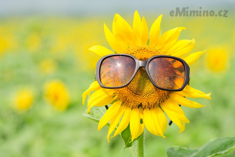 Když jde chlap na gyndu...