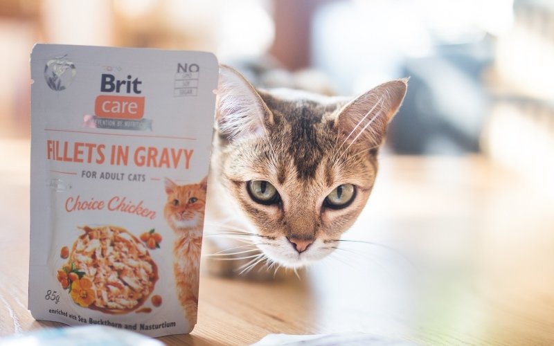 Udělejte svým čtyřnohým miláčkům radost. Zdroj: Brit.
