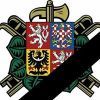 Ikonka uživatele Vena12