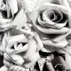 Ikonka uživatele pinkflower88